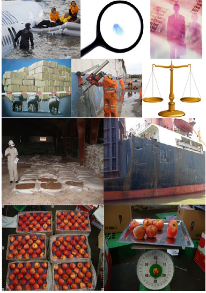 Agriculture Industry Marine Control Inspection Group of Companies