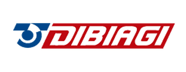 DIBIAGI INTERNATIONAL TRANSPORT