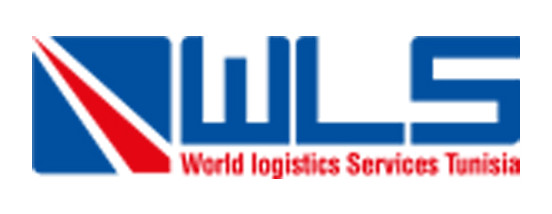 WORLD LOGISTICS SERVICES - WLS