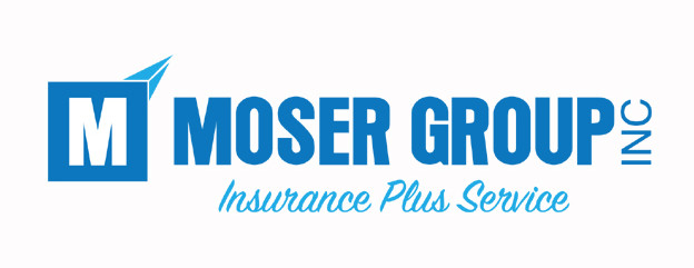 Moser Group Inc.