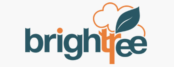 Brightree Pte Ltd1656308274company_logoLOGONEWcopy.jpg Logo