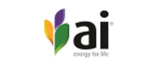 AI Energy Group