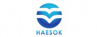 Haesok Shipping Pvt Ltd 