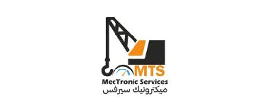 MECTRONIC SERVICES