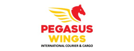 PEGASUS WINGS