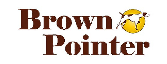 Brown Pointer Surveys & Loss Adjusting