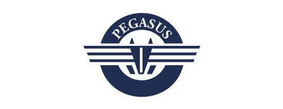 Pegasus Maritime Inc