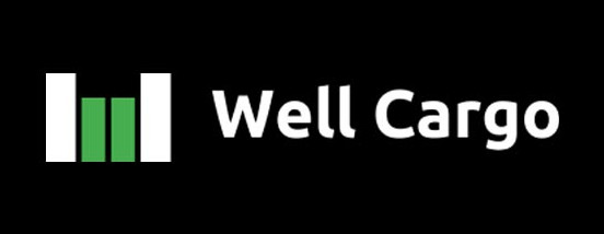 WELL CARGO LOGISTICA INTERNACIONAL LTDA