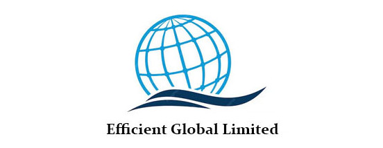 Efficient Global Limited